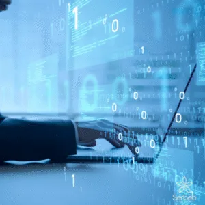 servicio-de-software